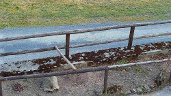 Nastupní stanice vleku