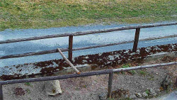 Nastupní stanice vleku