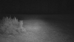 Nastupní stanice vleku