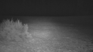 SkiAreál - Horský hotel Vsacký Cáb - Nastupní stanice vleku - 16.3.2026 v 05:00 SkiAreál - Horský hotel Vsacký Cáb - Nastupní stanice vleku - 16.3.2026 v 05:00