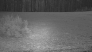 SkiAreál - Horský hotel Vsacký Cáb - Nastupní stanice vleku - 16.3.2026 v 05:15 SkiAreál - Horský hotel Vsacký Cáb - Nastupní stanice vleku - 16.3.2026 v 05:15