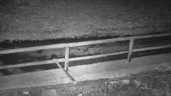 Nastupní stanice vleku