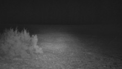 Nastupní stanice vleku