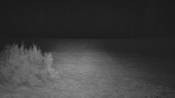 Nastupní stanice vleku