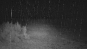 SkiAreál - Horský hotel Vsacký Cáb - Nastupní stanice vleku - 21.3.2026 v 04:45 SkiAreál - Horský hotel Vsacký Cáb - Nastupní stanice vleku - 21.3.2026 v 04:45