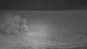 SkiAreál - Horský hotel Vsacký Cáb - Nastupní stanice vleku - 21.3.2026 v 05:15 SkiAreál - Horský hotel Vsacký Cáb - Nastupní stanice vleku - 21.3.2026 v 05:15