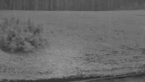 SkiAreál - Horský hotel Vsacký Cáb - Nastupní stanice vleku - 21.3.2026 v 05:30 SkiAreál - Horský hotel Vsacký Cáb - Nastupní stanice vleku - 21.3.2026 v 05:30