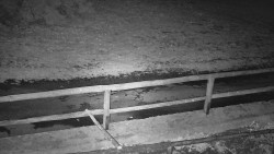 Nastupní stanice vleku