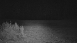 Nastupní stanice vleku