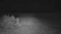 Nastupní stanice vleku