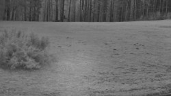 Nastupní stanice vleku