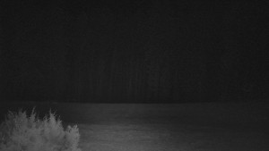 SkiAreál - Horský hotel Vsacký Cáb - Nastupní stanice vleku - 25.3.2026 v 03:45 SkiAreál - Horský hotel Vsacký Cáb - Nastupní stanice vleku - 25.3.2026 v 03:45