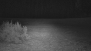 SkiAreál - Horský hotel Vsacký Cáb - Nastupní stanice vleku - 25.3.2026 v 04:45 SkiAreál - Horský hotel Vsacký Cáb - Nastupní stanice vleku - 25.3.2026 v 04:45