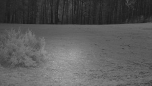 SkiAreál - Horský hotel Vsacký Cáb - Nastupní stanice vleku - 25.3.2026 v 05:00 SkiAreál - Horský hotel Vsacký Cáb - Nastupní stanice vleku - 25.3.2026 v 05:00