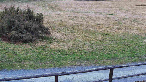 SkiAreál - Horský hotel Vsacký Cáb - Nastupní stanice vleku - 25.3.2026 v 06:30 SkiAreál - Horský hotel Vsacký Cáb - Nastupní stanice vleku - 25.3.2026 v 06:30