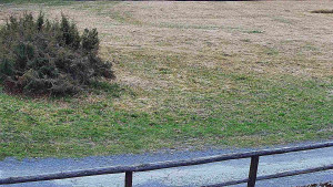 SkiAreál - Horský hotel Vsacký Cáb - Nastupní stanice vleku - 25.3.2026 v 08:30 SkiAreál - Horský hotel Vsacký Cáb - Nastupní stanice vleku - 25.3.2026 v 08:30