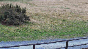 SkiAreál - Horský hotel Vsacký Cáb - Nastupní stanice vleku - 25.3.2026 v 09:15 SkiAreál - Horský hotel Vsacký Cáb - Nastupní stanice vleku - 25.3.2026 v 09:15