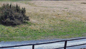 SkiAreál - Horský hotel Vsacký Cáb - Nastupní stanice vleku - 25.3.2026 v 11:00 SkiAreál - Horský hotel Vsacký Cáb - Nastupní stanice vleku - 25.3.2026 v 11:00