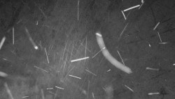 Nastupní stanice vleku