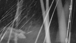 Nastupní stanice vleku