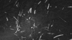 Nastupní stanice vleku