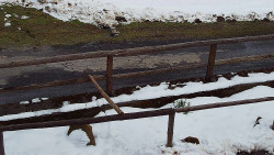 Nastupní stanice vleku