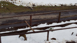 Nastupní stanice vleku