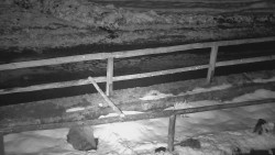 Nastupní stanice vleku