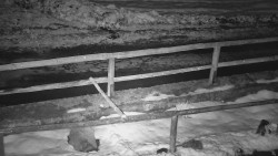 Nastupní stanice vleku