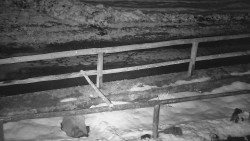 Nastupní stanice vleku