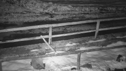 Nastupní stanice vleku