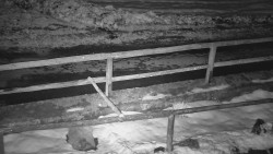 Nastupní stanice vleku