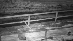 Nastupní stanice vleku