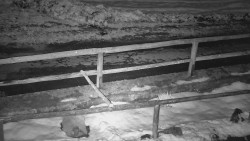 Nastupní stanice vleku