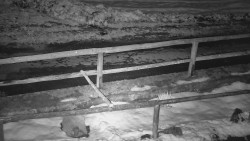 Nastupní stanice vleku