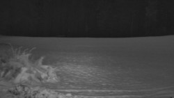 Nastupní stanice vleku