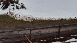 Nastupní stanice vleku