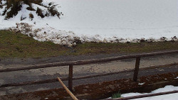 Nastupní stanice vleku