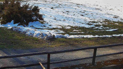 Nastupní stanice vleku