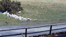 Nastupní stanice vleku