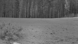 Nastupní stanice vleku