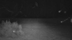 Nastupní stanice vleku