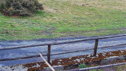 Nastupní stanice vleku