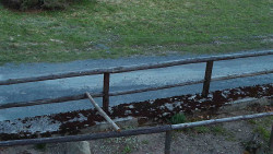 Nastupní stanice vleku