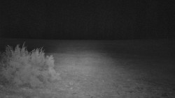 Nastupní stanice vleku