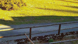 Nastupní stanice vleku