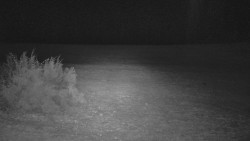 Nastupní stanice vleku