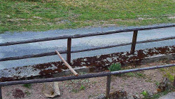 Nastupní stanice vleku