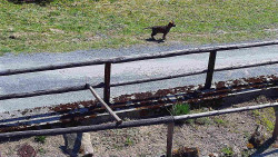 Nastupní stanice vleku