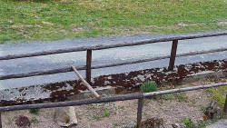 Nastupní stanice vleku